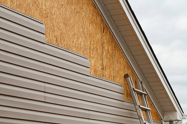 Professional Siding Inspection technician working in Everett, WA